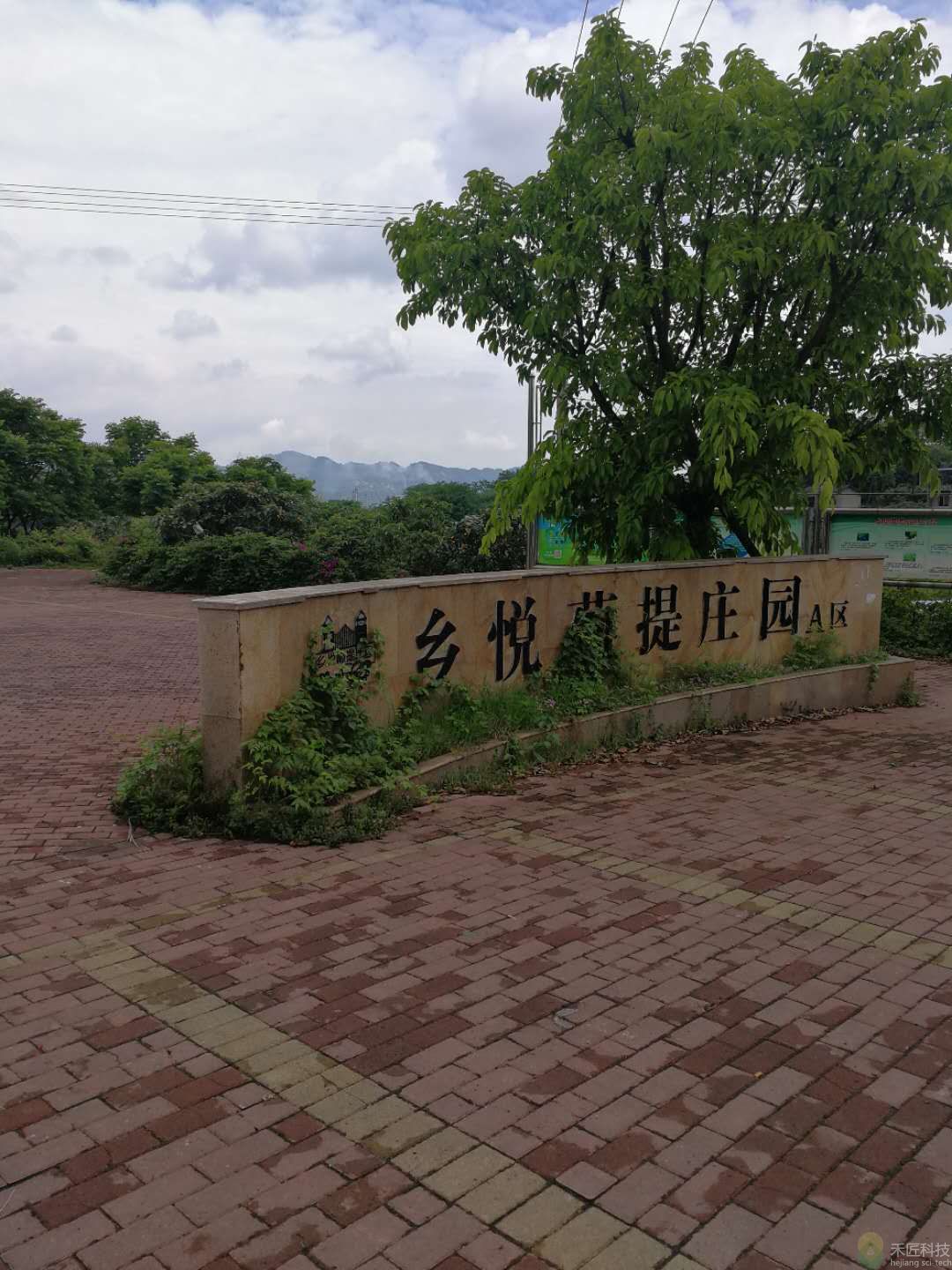 九龍坡鄉悅葡提莊園水肥一體化項目